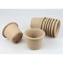 White dry-pressed disposable paper cups