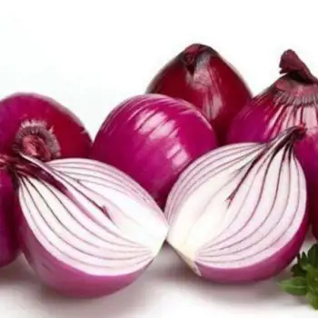 Chinese Purple Onions with best Price!