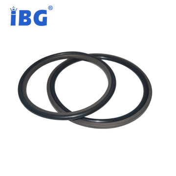 Standard and nonstandard ISO/TS16949/ISO9001 Step oil seals