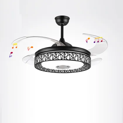 LEDER Modern Ceiling Fan With Lights