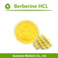 Extrato de Cortex Phellodendri Berberine HCL 97% em pó