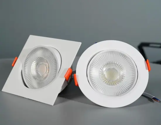 Adjustable Indoor LED Recessed Spotlight Ceiling Down Light