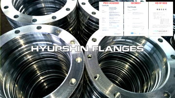 PN6 DIN2641 Lapped Flange Loose Flange