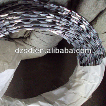 galvanized crossed razor wire mesh for prison (factory)
