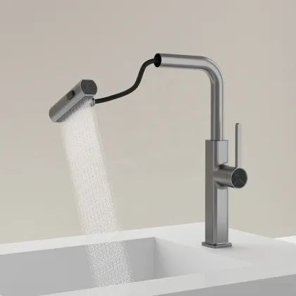 Feiyu Spray Head Faucet: 3-in-1 Commercial and Household Kitchen Tap
