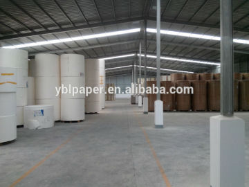 bohui paper 350GSM+15PE+15PE paper cups roll