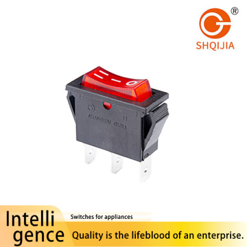 R11-113 Interruptor de barco con dos posiciones