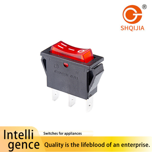 R11-113 Interruptor de barco con dos posiciones