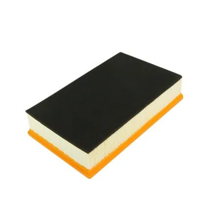 Free Sample Cartridge Air Filter Filtros Automotrices 13717505007