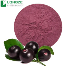 Acai Berry Fruit Powder