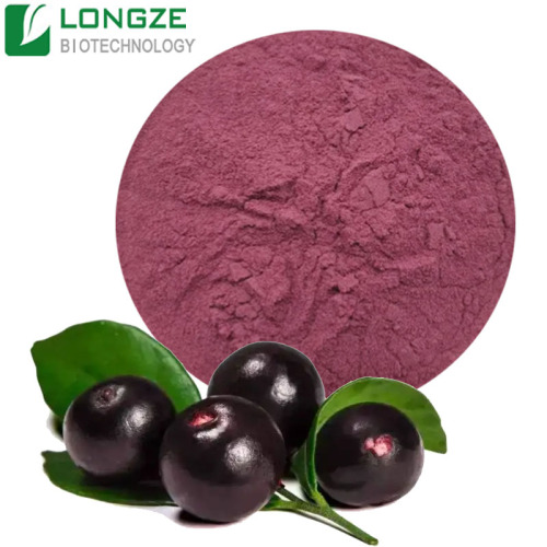 Acai Berry Fruit Powder