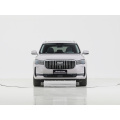 Geely Monjaro SUV气体2.0T 4WD汽车