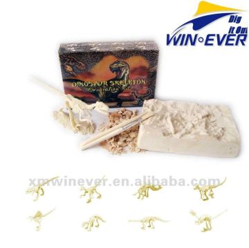 Mid.Dino Skeleton, 8 assorted