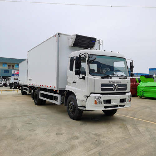 Dongfeng Tianjin Holraring Truck