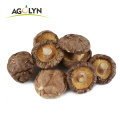 OEM Factory price Dried Shiitake Mushrooms High Quality Dried Mushrooms