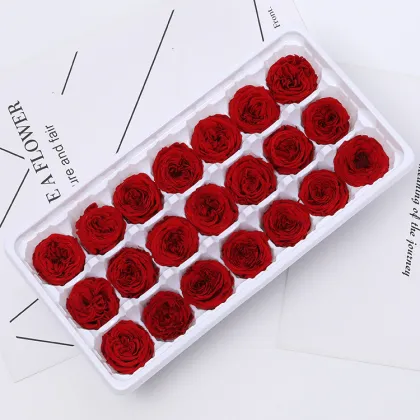 Yuntu Wholesale: Custom Preserved Flowers & Austin Rose Buds