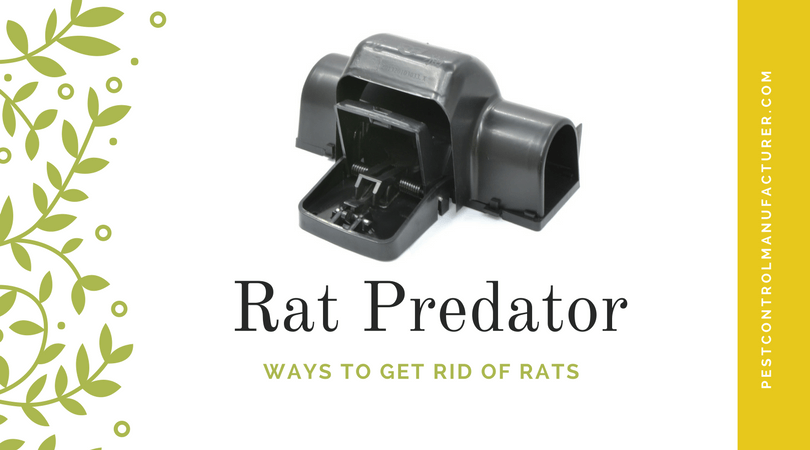 Plastic Rat Trap Plastic Rat Trap