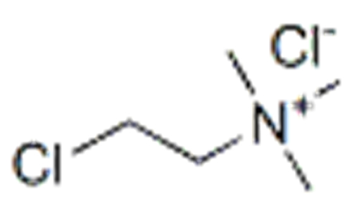 1 1 1 999 visual data 4