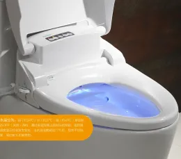 Motion Sensor Auto Flushing Toilet