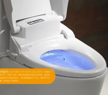 Motion Sensor Auto Flushing Toilet