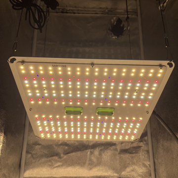 Kingbrite 100W Samsung LM301H EVO+Epistar 660NM UV IR LED 보드 평균 웰 드라이버와 빛나는 조명