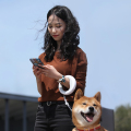 Το Moestar Dog οδηγεί σχοινί Smart Leash Dog
