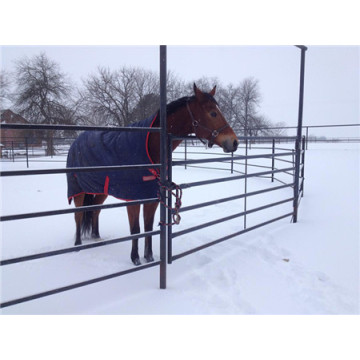 Hot Dipped Galvanized Murah Sliver Horse Horse Fence