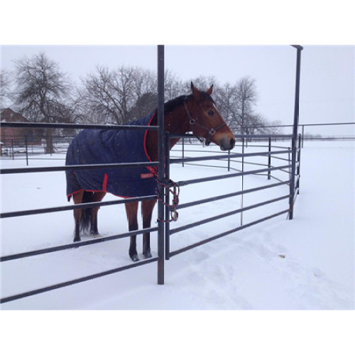 Hot Dipped Galvanized Murah Sliver Horse Horse Fence