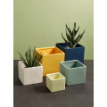 Square Ceramic Ceramic Pots For Succulents