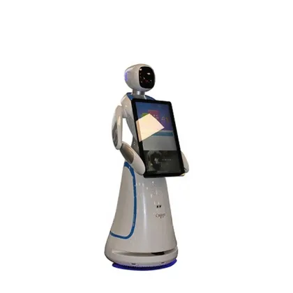 Interactive Robot For Commercial Advertising Service