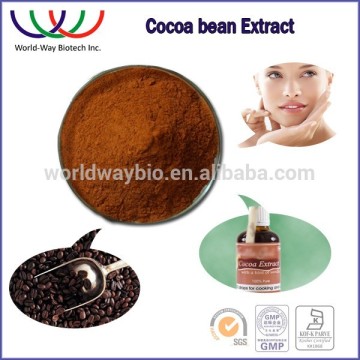 free sample ! China herbal extraction GMP, KOSHER ,HALAL organic bulk cocoa beans extract wholesale