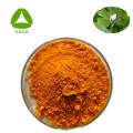 Macleaya Cordata Root Extract Sanguinarines 60% Powder