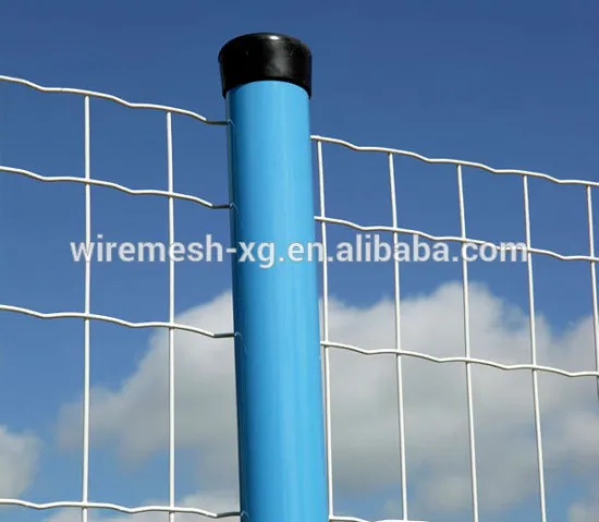 europe style PVC coated holland wire mesh/Low price holland wire mesh fence,welded wire mesh (professinal facrtory!!)