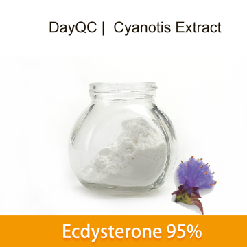 Cyanotis Arachnoides Extract Bulk Beta Ecdysterone Powder