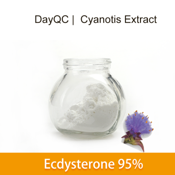 Cyanotis arachnoides εκχύλισμα χύδην σκόνη βήτα ecdysterone