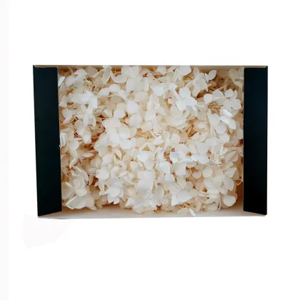 Eternal Life White Hydrangea: Preserved Anna Hydrangeas