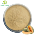 Organic Cantaloupe Fruit Powder