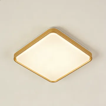 Energy-efficient LED ceiling lamp0