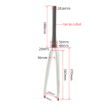 Form Fork Front Front Front Fork 700C