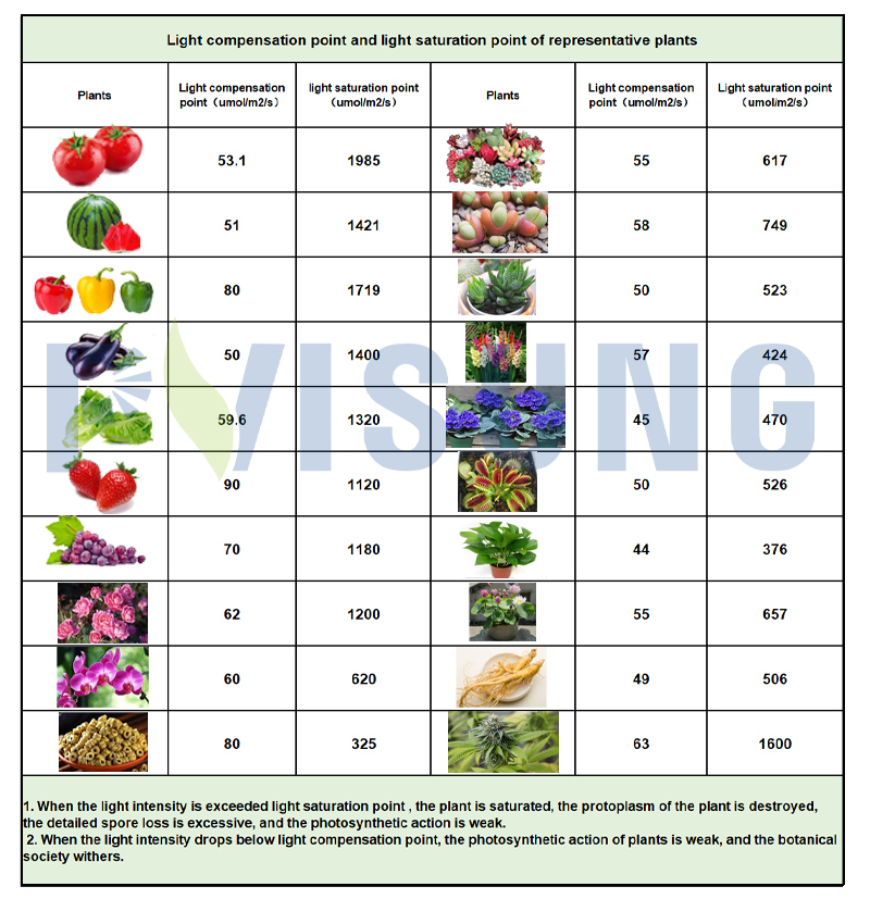 730w Led Grow Light 6