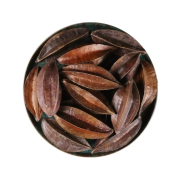 Rangoon Creeper Fruit for Eliminating Parasites