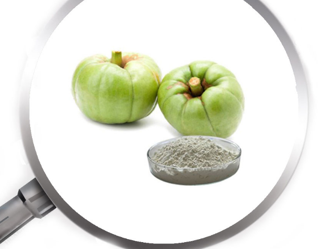 Garcinia Cambogia Extract Png