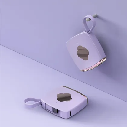 Super Fast Charging Portable Power Bank with Mini Power Bank