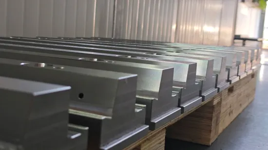 SG High-Precision Mold Slider