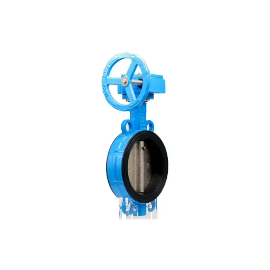 Professional Manufacture Worm Gear Type Wafer Butterfly Valves Price