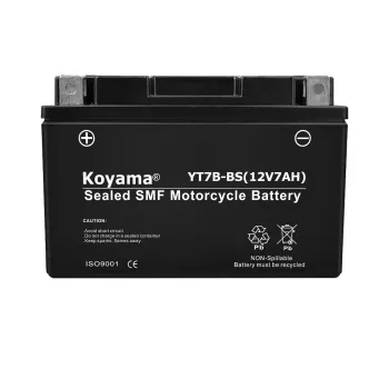 YB5L-B 12V 5AH Sealed Maintenance-Free Battery for Powersport Vehicles