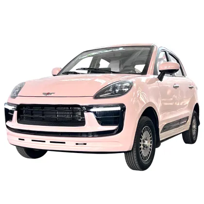 Factory Price Electric Cars: 5-Wheel Sports Cars for Adults