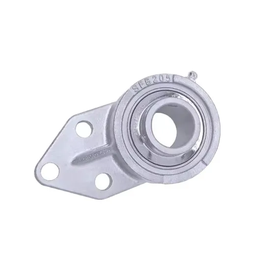 Stainless Steel Outer Spherical Bearing Housing with Suspension (SUCFB204 S205 SUCFB206 207 UCFB208)
