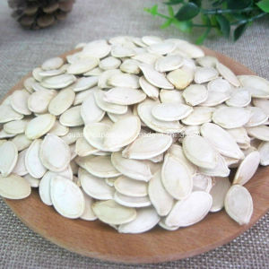 chinese shine skin pumpkin seed kernels wholesaler