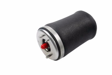 Sospensione pneumatica molla posteriore sinistra per BMW 37126750355